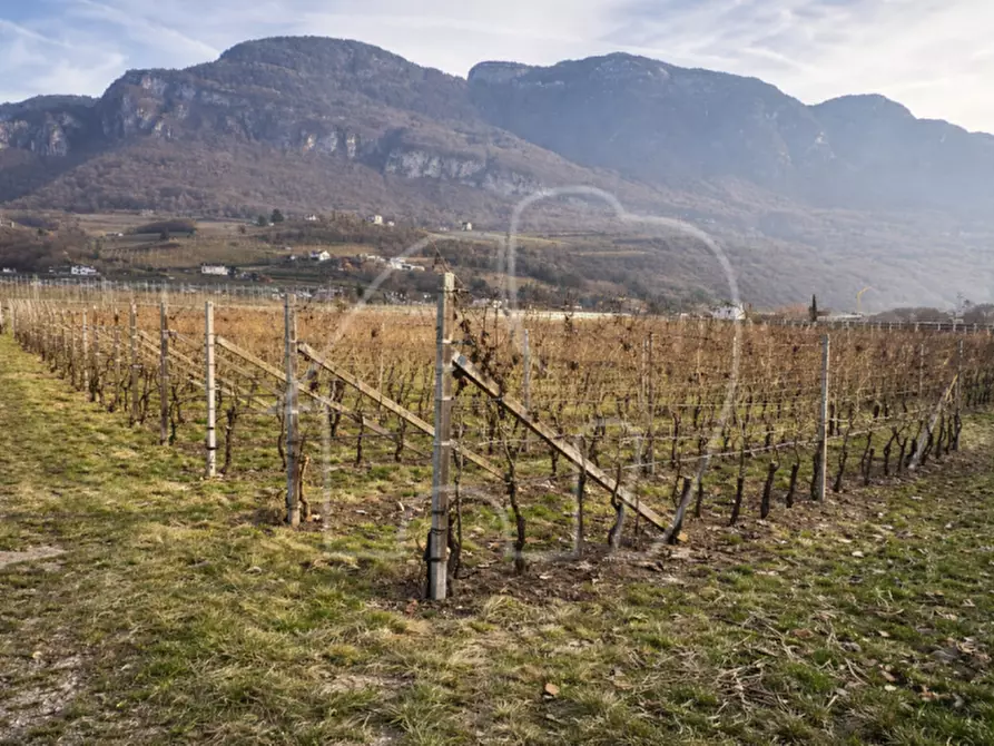 Immagine 2 di Terreno in vendita  a Egna .Neumarkt.