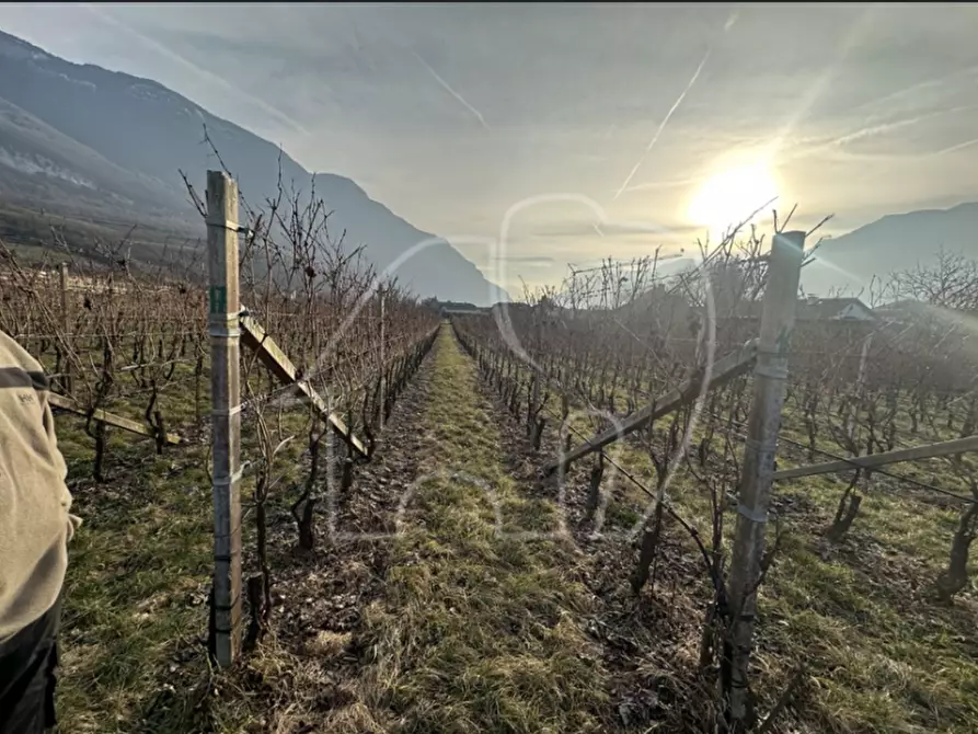 Immagine 3 di Terreno in vendita  a Egna .Neumarkt.