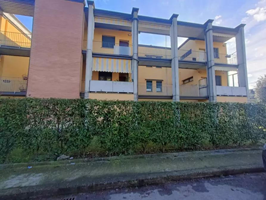 Immagine 5 di Appartamento in vendita  in Via Renzo Pezzani a Sorbolo Mezzani