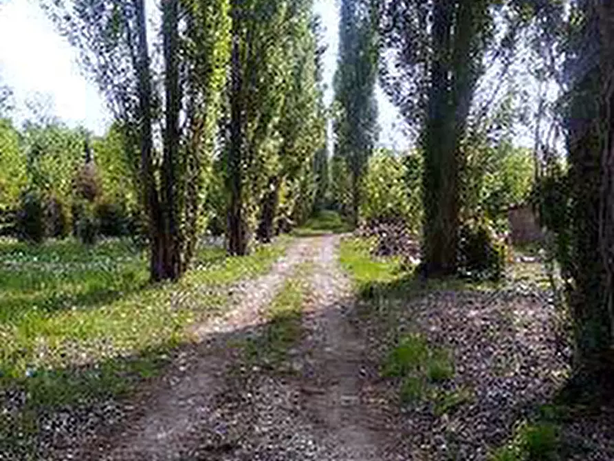 Immagine 1 di Terreno in vendita  in Via Filermo a Caneva