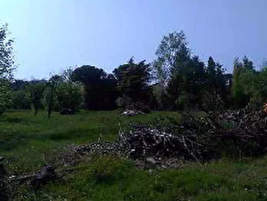 Immagine 2 di Terreno in vendita  in Via Filermo a Caneva