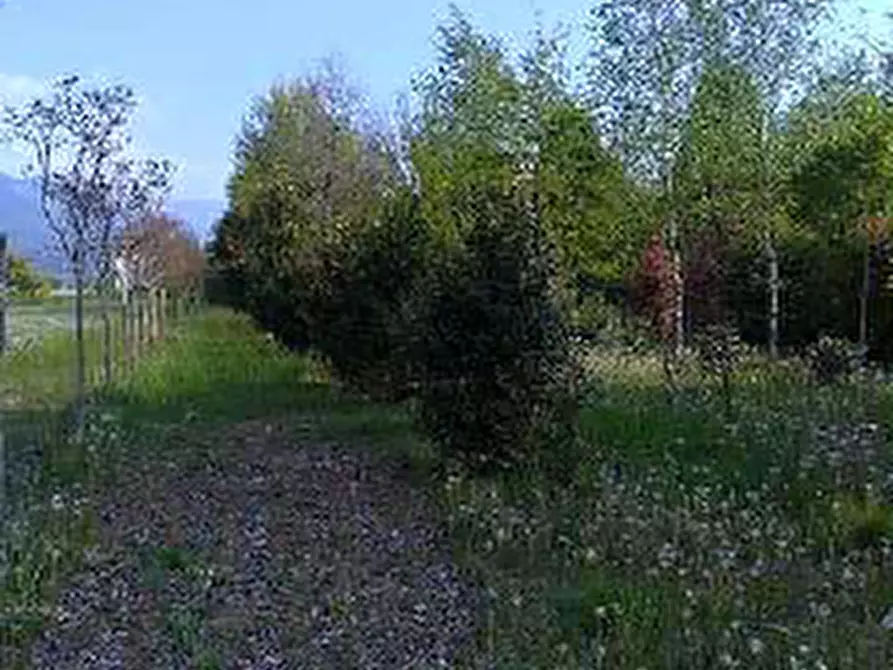 Immagine 3 di Terreno in vendita  in Via Filermo a Caneva