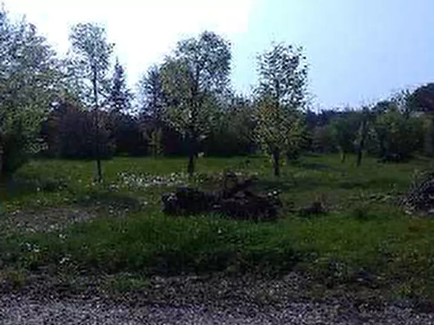 Immagine 4 di Terreno in vendita  in Via Filermo a Caneva