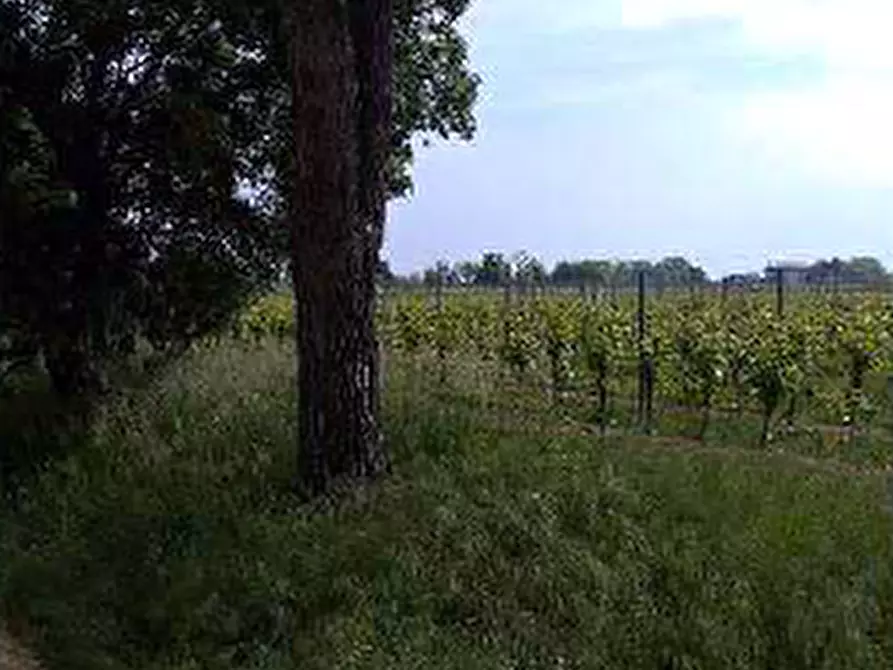 Immagine 2 di Terreno in vendita  in Via Nazario Sauro a Caneva