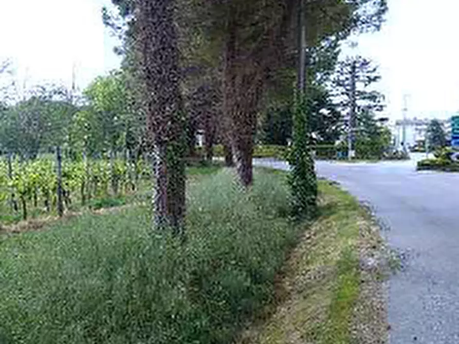 Immagine 3 di Terreno in vendita  in Via Nazario Sauro a Caneva