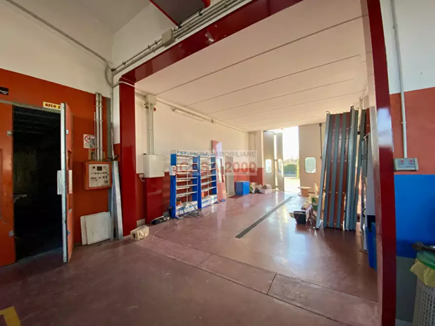 Immagine 24 di Casa indipendente in vendita  in via ramoneto a Piombino Dese
