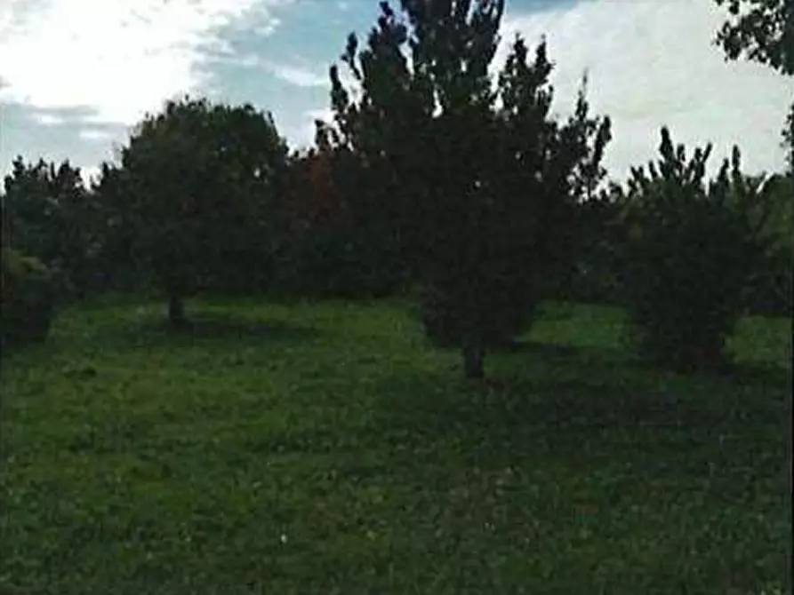 Immagine 5 di Casa indipendente in vendita  in Via Laghetto Squarà 15/A a Verona