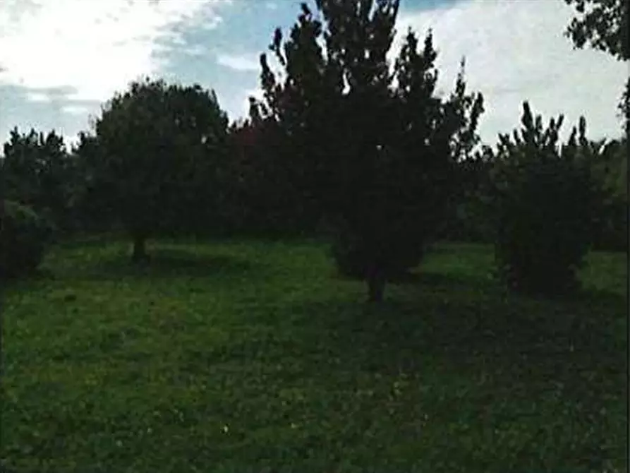 Immagine 49 di Casa indipendente in vendita  in Via Laghetto Squarà 15/A a Verona