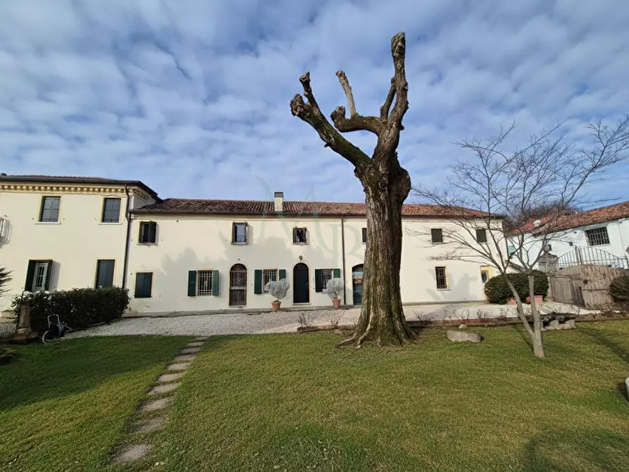 Immagine 1 di Villa in vendita  in Via Arrigoni a Vigonza
