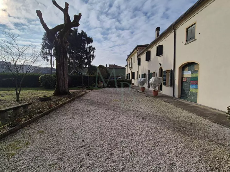 Immagine 4 di Villa in vendita  in Via Arrigoni a Vigonza