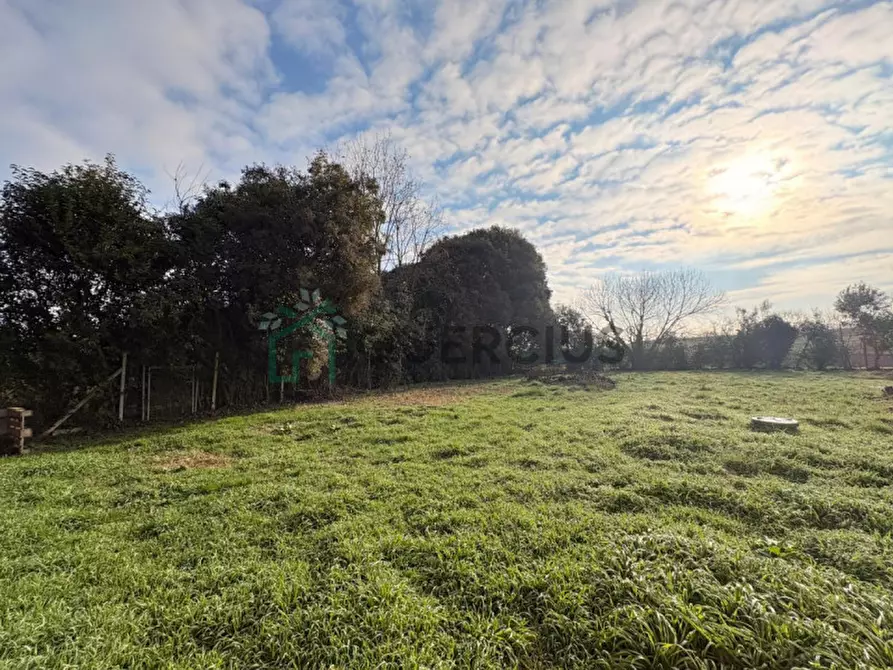 Immagine 3 di Appartamento in vendita  in Via Zerpa a Belfiore