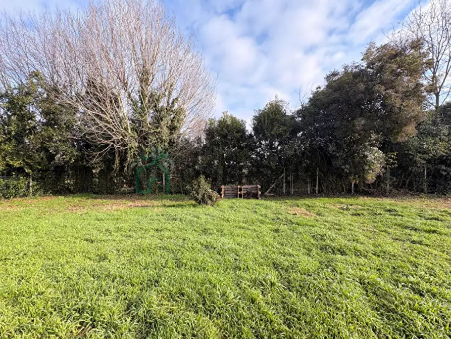 Immagine 5 di Appartamento in vendita  in Via Zerpa a Belfiore