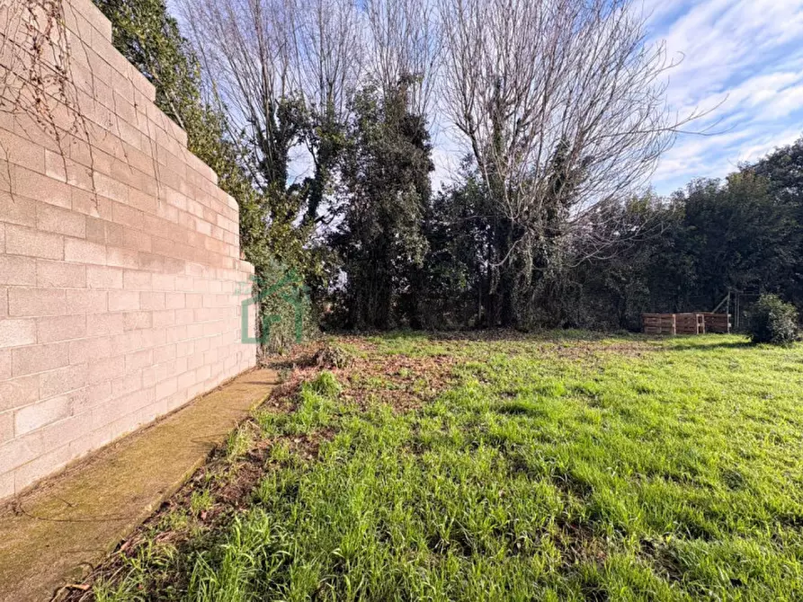 Immagine 6 di Appartamento in vendita  in Via Zerpa a Belfiore