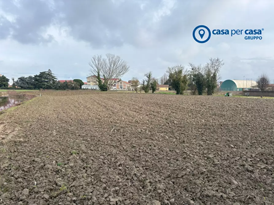 Immagine 3 di Terreno in vendita  in Via Guido Brugnolo a Arqua' Polesine