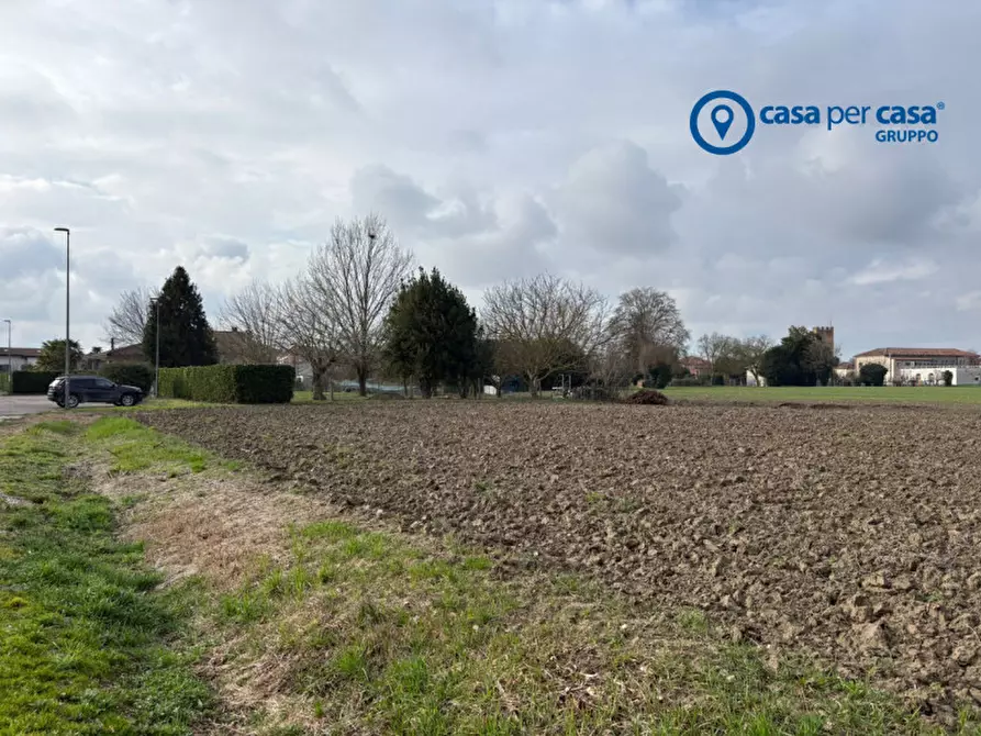 Immagine 6 di Terreno in vendita  in Via Guido Brugnolo a Arqua' Polesine