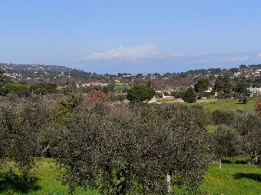 Immagine 1 di Terreno in vendita  in Serralta a Locorotondo