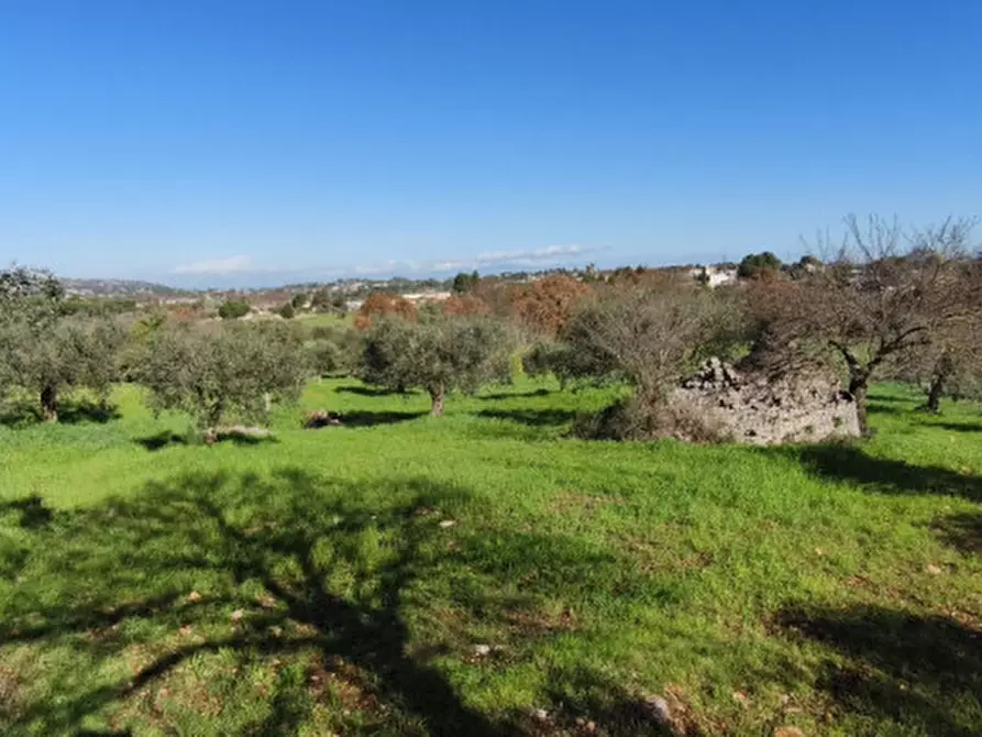 Immagine 3 di Terreno in vendita  in Serralta a Locorotondo