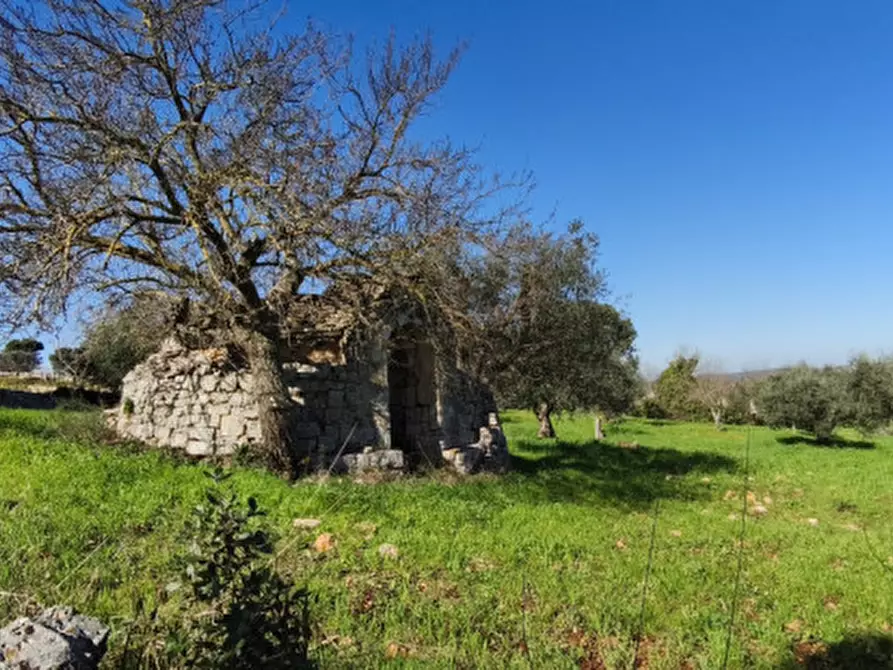 Immagine 7 di Terreno in vendita  in Serralta a Locorotondo