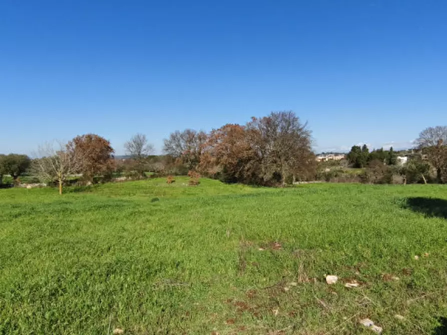 Immagine 9 di Terreno in vendita  in Serralta a Locorotondo