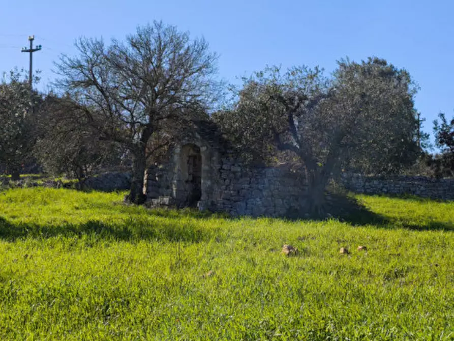 Immagine 11 di Terreno in vendita  in Serralta a Locorotondo
