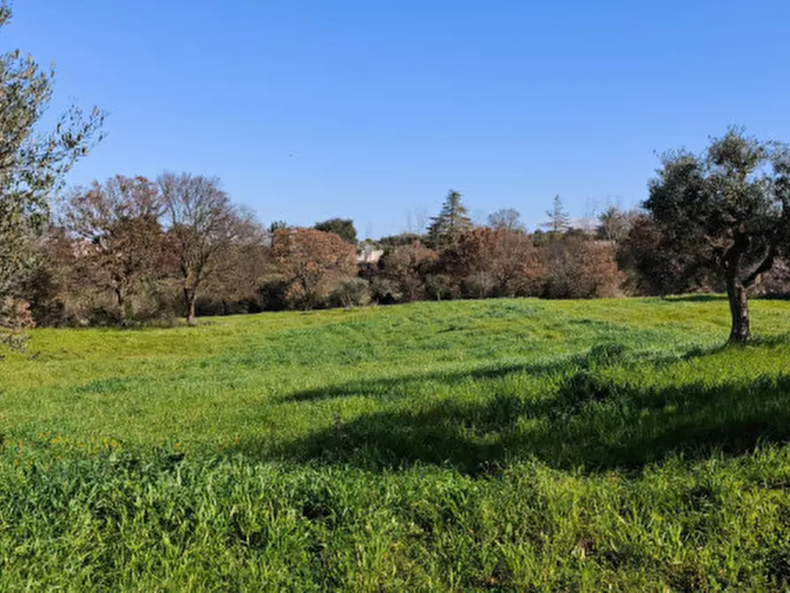Immagine 12 di Terreno in vendita  in Serralta a Locorotondo
