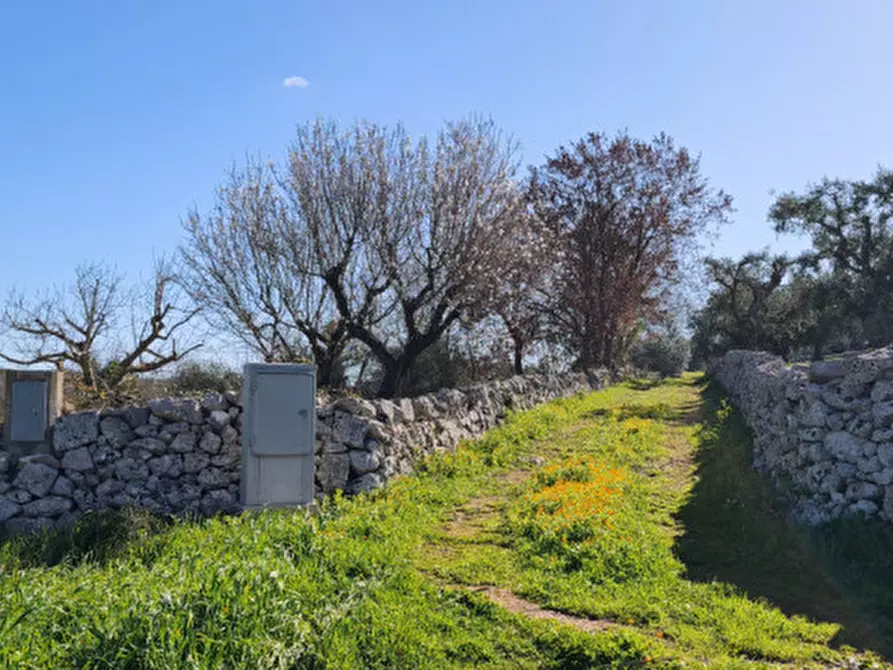 Immagine 13 di Terreno in vendita  in Serralta a Locorotondo