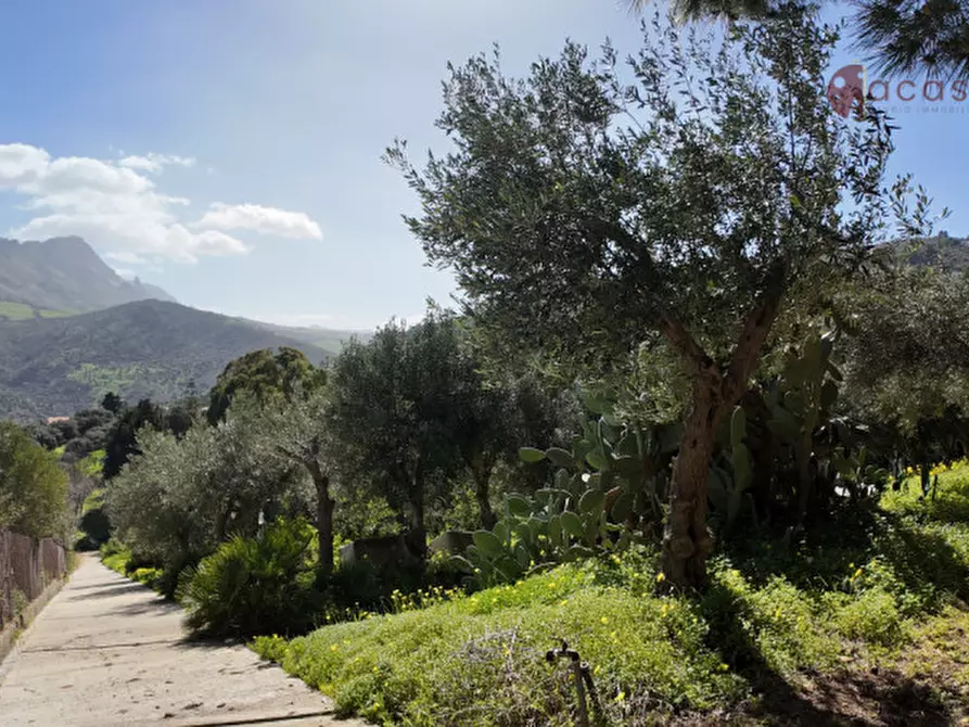 Immagine 68 di Villa in vendita  in Contrada Ciandro snc a Casteldaccia