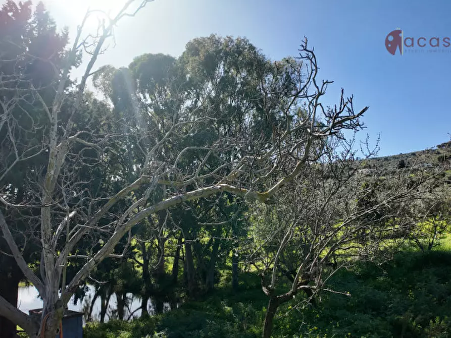 Immagine 69 di Villa in vendita  in Contrada Ciandro snc a Casteldaccia