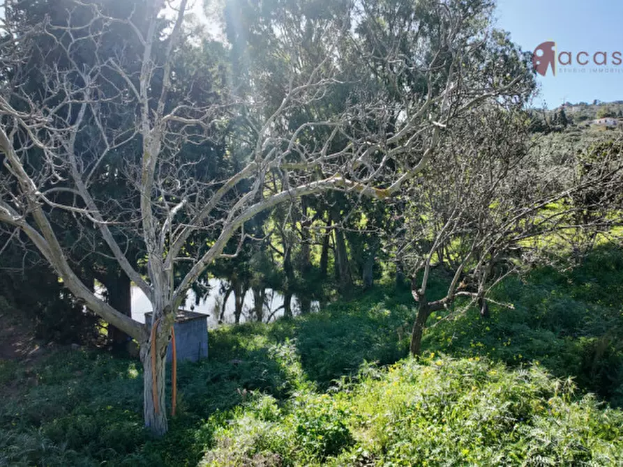 Immagine 70 di Villa in vendita  in Contrada Ciandro snc a Casteldaccia
