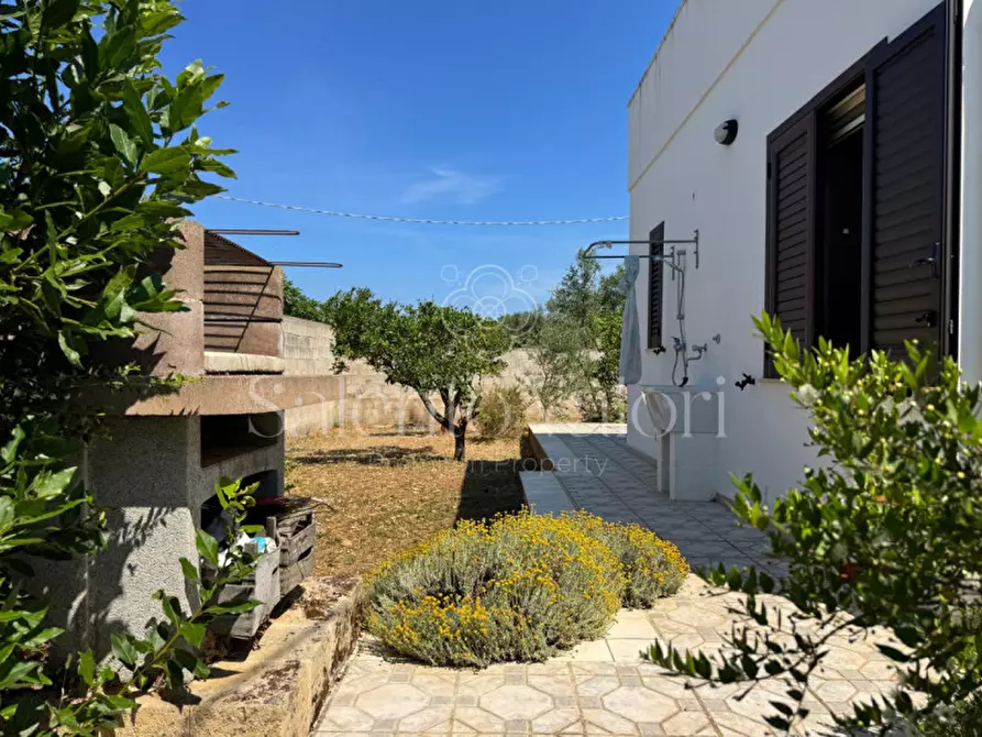 Immagine 4 di Villa in vendita  in Stada Vicinale Paduli Bianchi a Gallipoli