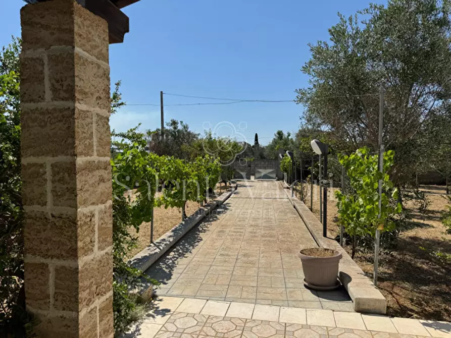 Immagine 7 di Villa in vendita  in Stada Vicinale Paduli Bianchi a Gallipoli