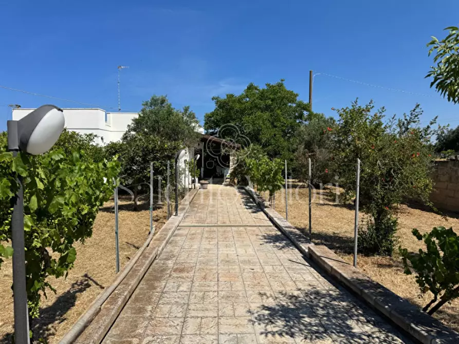 Immagine 9 di Villa in vendita  in Stada Vicinale Paduli Bianchi a Gallipoli