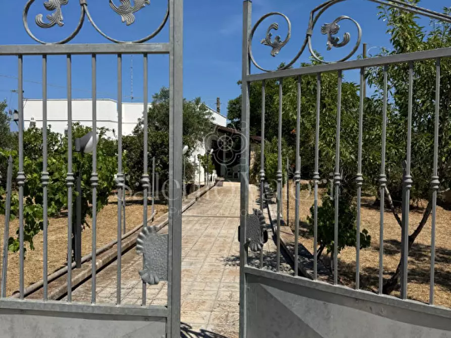 Immagine 12 di Villa in vendita  in Stada Vicinale Paduli Bianchi a Gallipoli
