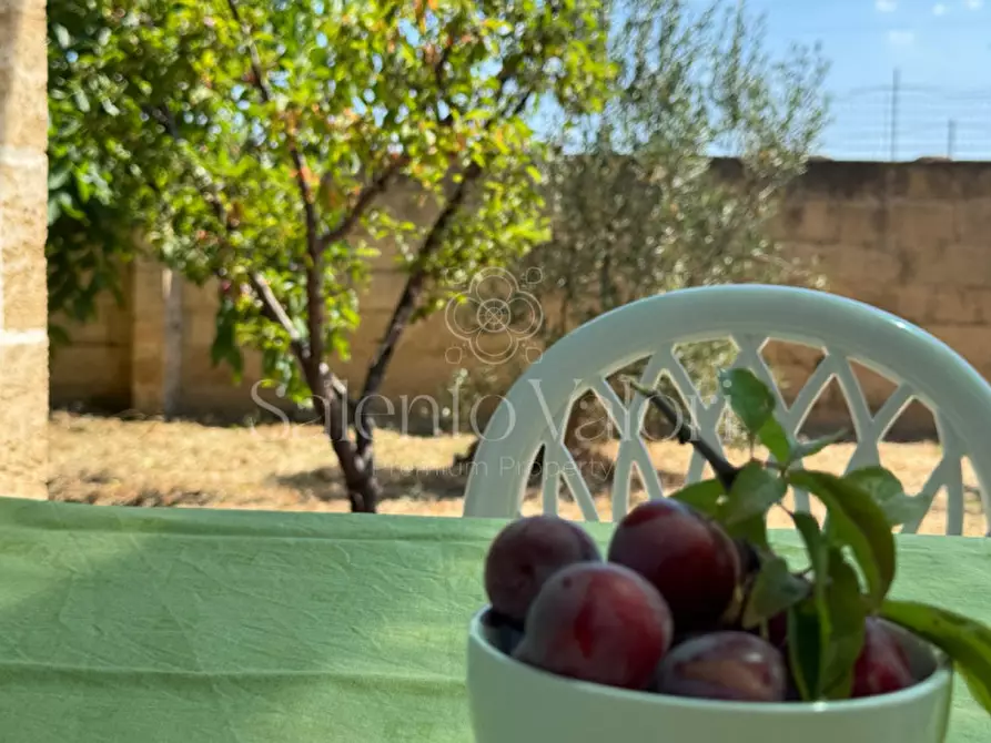 Immagine 14 di Villa in vendita  in Stada Vicinale Paduli Bianchi a Gallipoli
