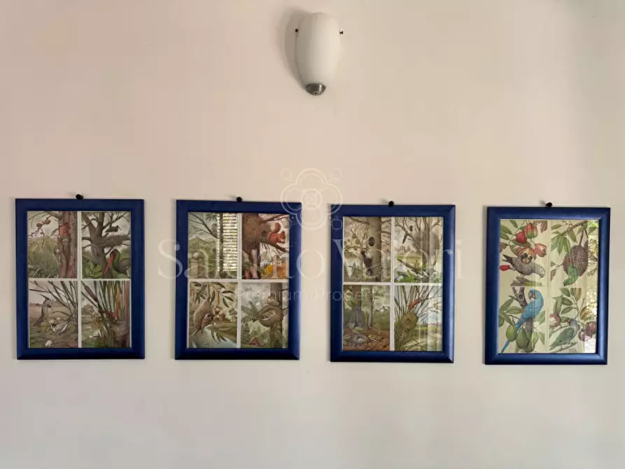 Immagine 19 di Villa in vendita  in Stada Vicinale Paduli Bianchi a Gallipoli