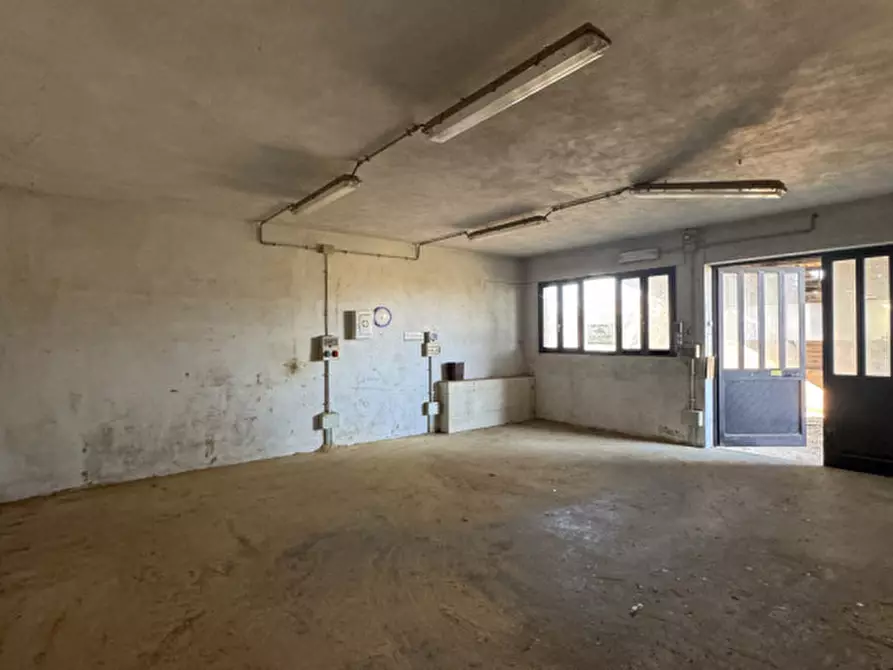 Immagine 12 di Casa bifamiliare in vendita  in Via Maggiore a Ospedaletto Euganeo