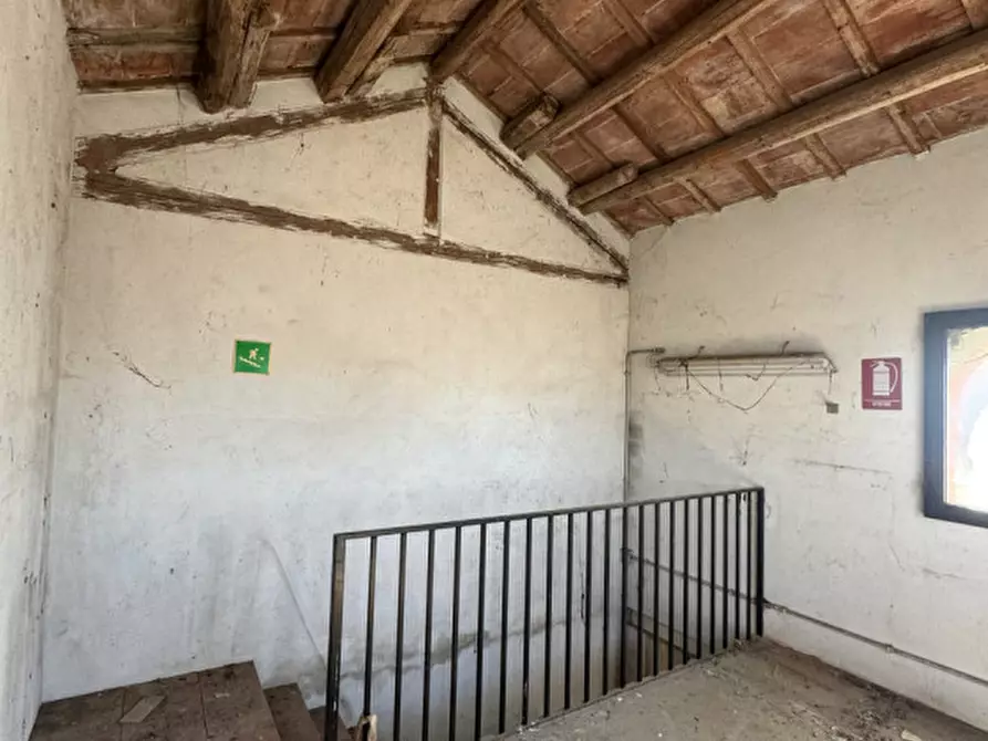 Immagine 18 di Casa bifamiliare in vendita  in Via Maggiore a Ospedaletto Euganeo