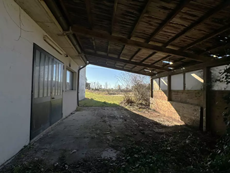 Immagine 22 di Casa bifamiliare in vendita  in Via Maggiore a Ospedaletto Euganeo