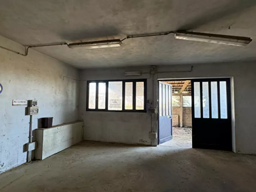 Immagine 25 di Casa bifamiliare in vendita  in Via Maggiore a Ospedaletto Euganeo