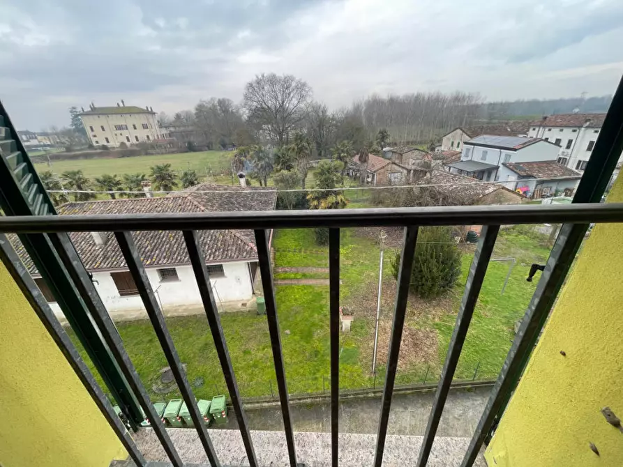 Immagine 20 di Appartamento in vendita  a Motteggiana