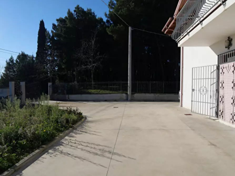 Immagine 15 di Villa in vendita  in contrada colle di giogo a Moscufo