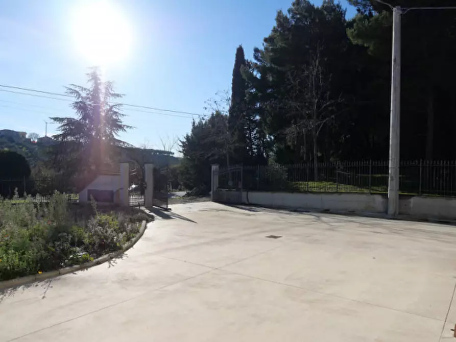 Immagine 17 di Villa in vendita  in contrada colle di giogo a Moscufo