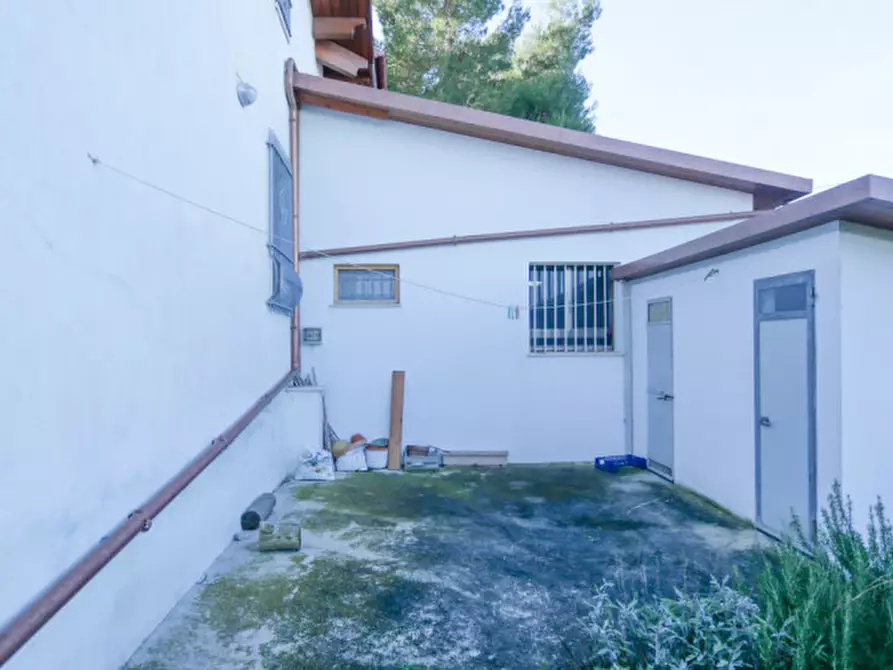 Immagine 22 di Villa in vendita  in contrada colle di giogo a Moscufo