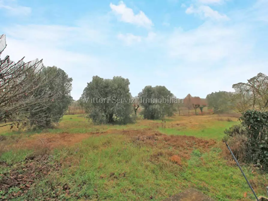 Immagine 15 di Casa indipendente in vendita  in via paolo sesto a Sinalunga