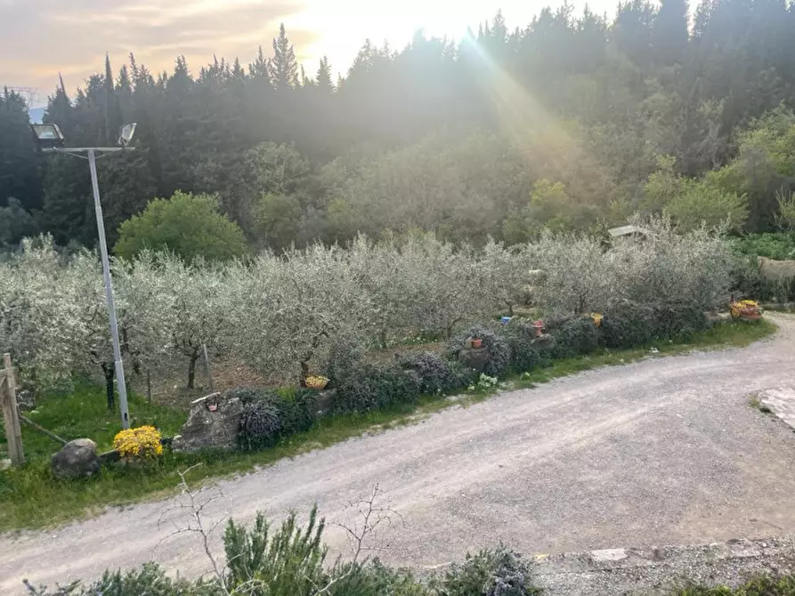 Immagine 5 di Attività commerciale in vendita  in VIA DEL COLLE a Calenzano