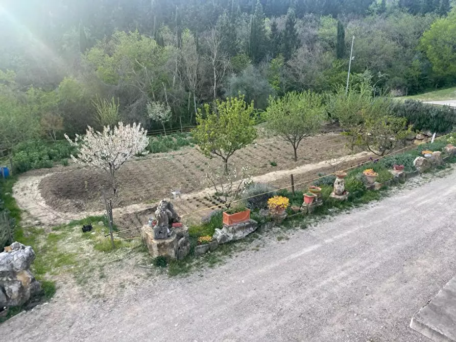 Immagine 9 di Attività commerciale in vendita  in VIA DEL COLLE a Calenzano