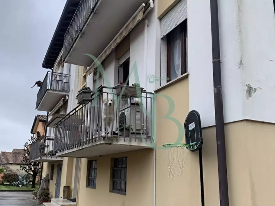 Immagine 24 di Appartamento in vendita  in Via Antonio Pacinotti a Mirano