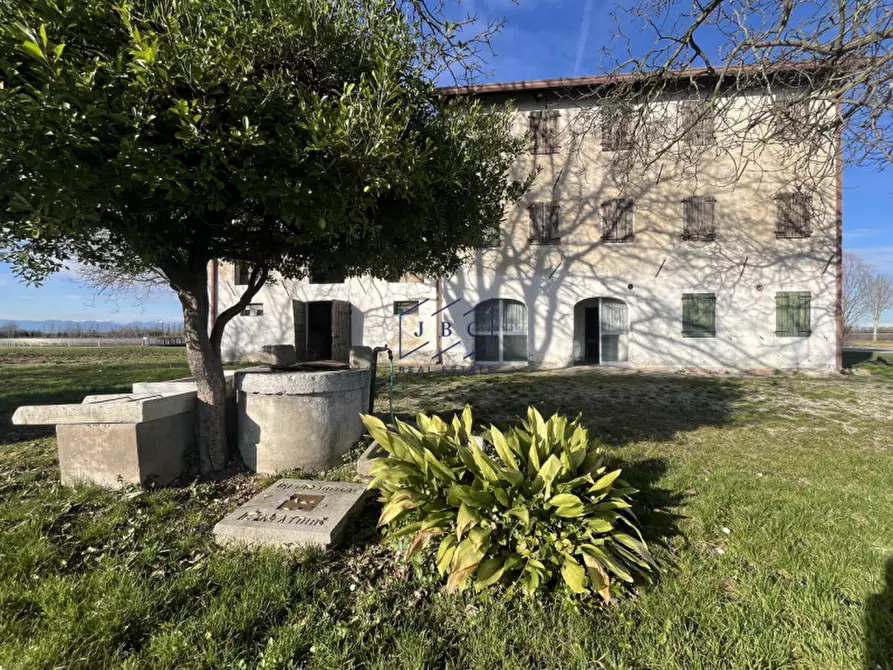 Immagine 2 di Rustico / casale in vendita  in Via Todaro a Ponte Di Piave