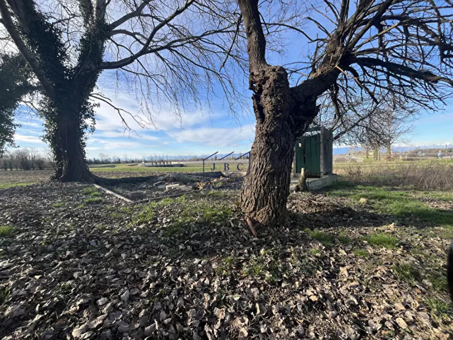 Immagine 17 di Rustico / casale in vendita  in Via Todaro a Ponte Di Piave