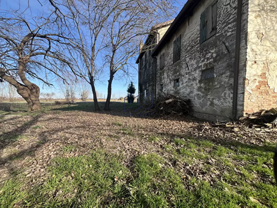 Immagine 18 di Rustico / casale in vendita  in Via Todaro a Ponte Di Piave